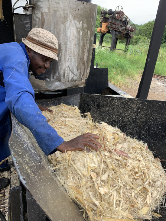 removing-spent-bagasse